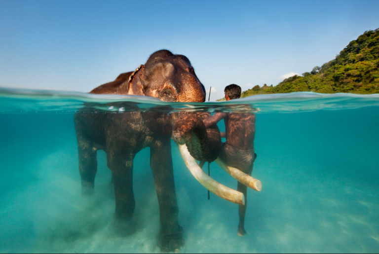 Andaman Honeymoon