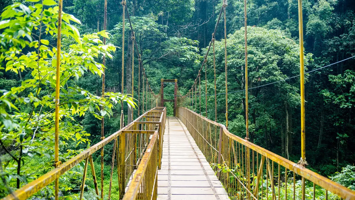 Coorg Mysore Tour Package and Travel Planning Chennai and Tamilnadu Summer Vacation and Honeymoon Packages 2
