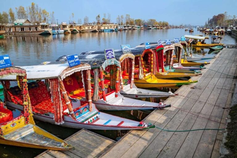 Magical Honeymoon Kashmir