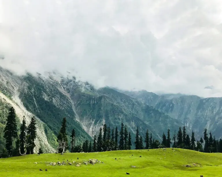 Kashmir Couples Package