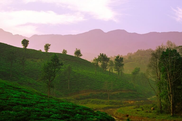 Wayanad — Wayanad