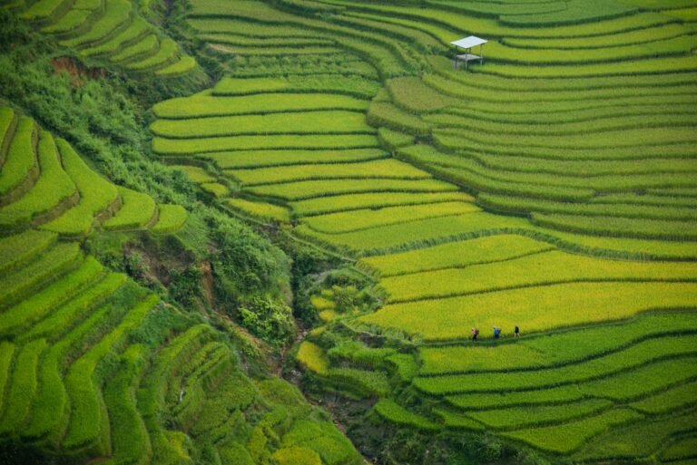 Vietnam — Vietnam