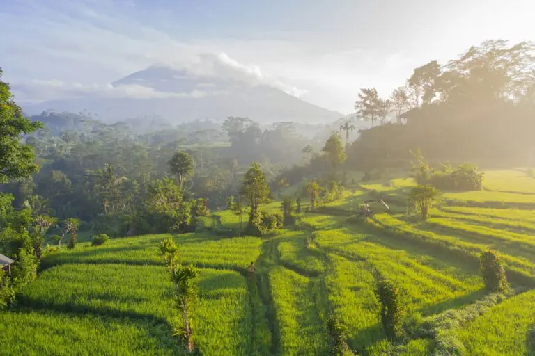 Bali — Bali