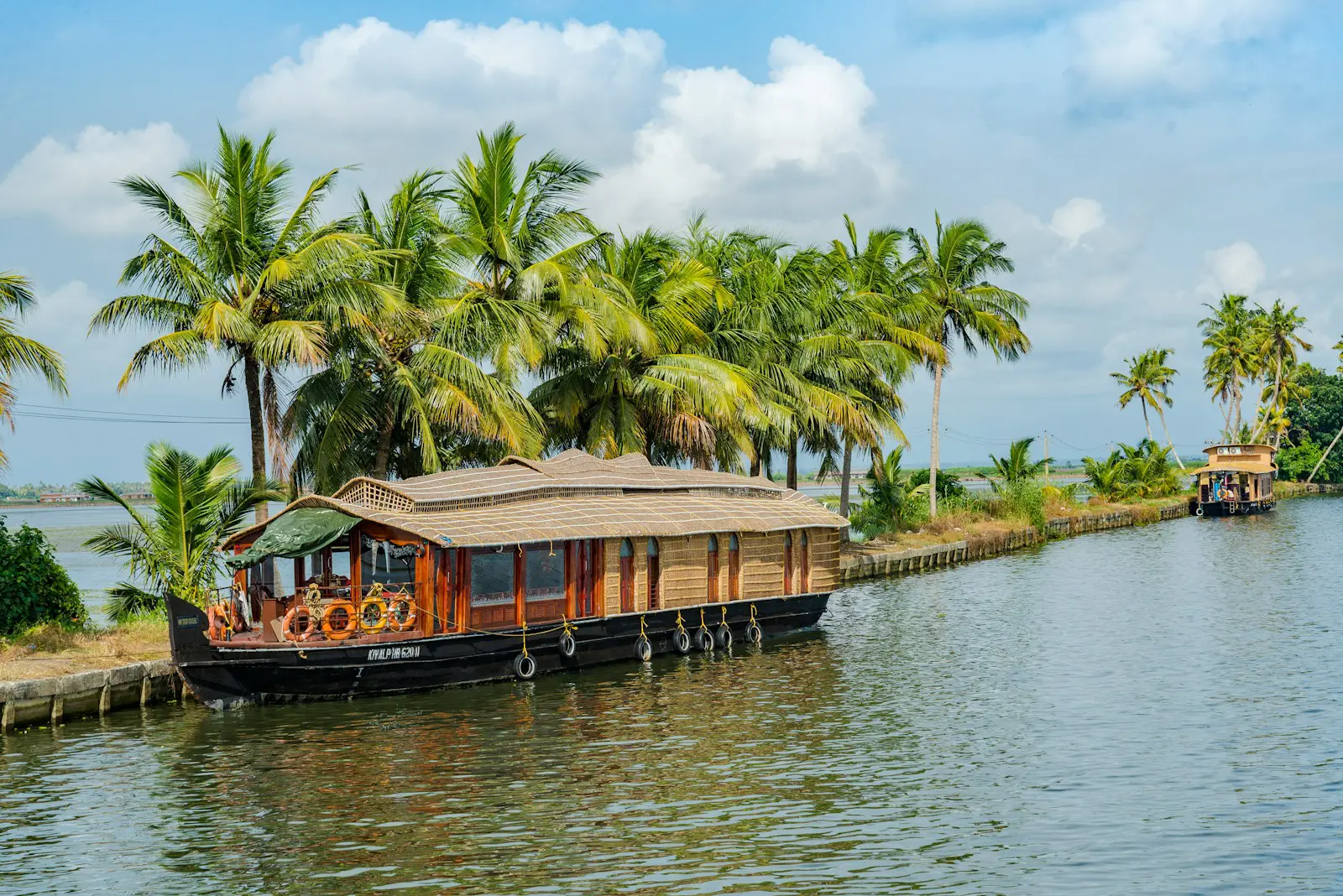 brown wooden boat on body of water near green palm trees during daytime