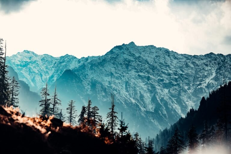 Shimla & Manali — Shimla & Manali