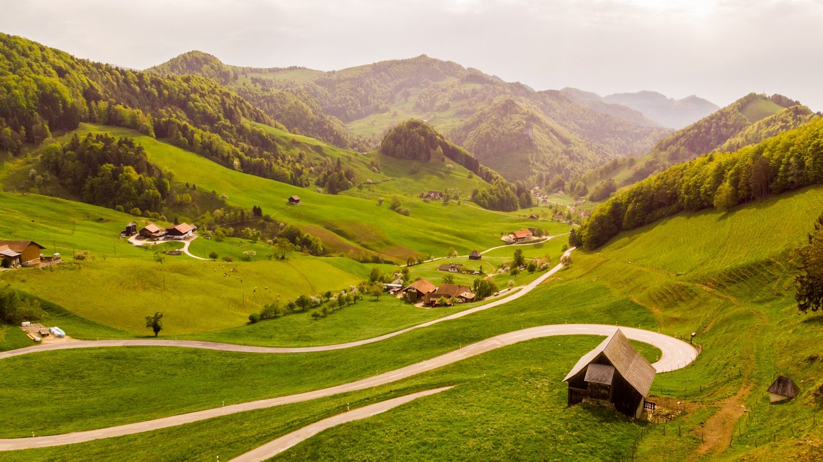 a green hills with houses and a road